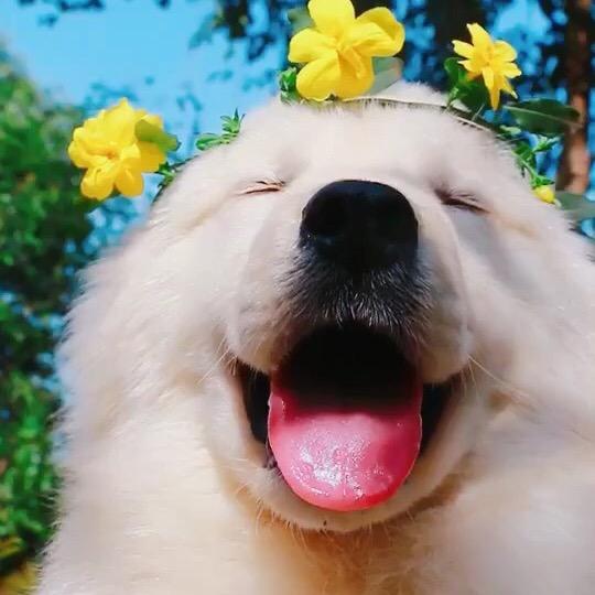欣