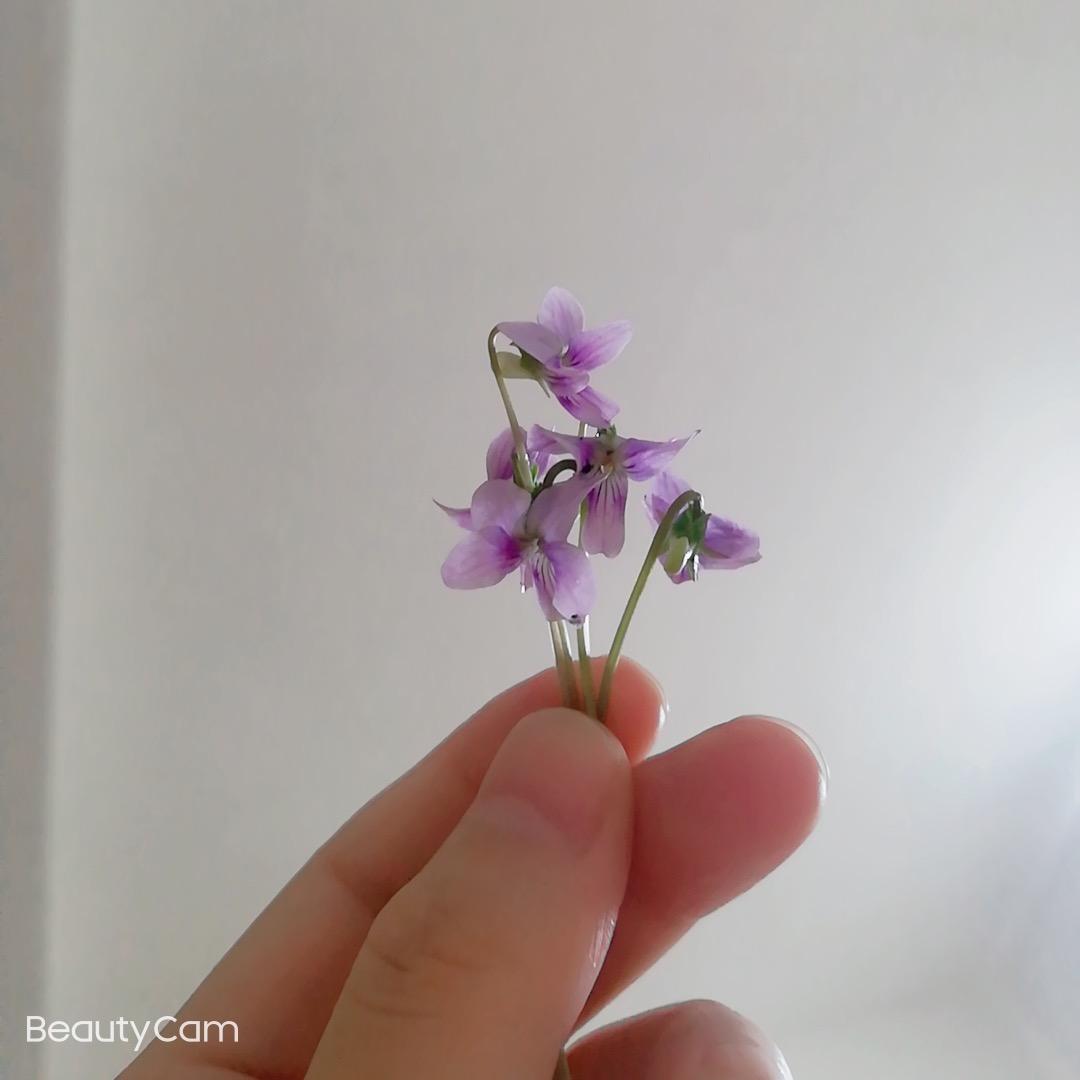 耶耶耶耶耶