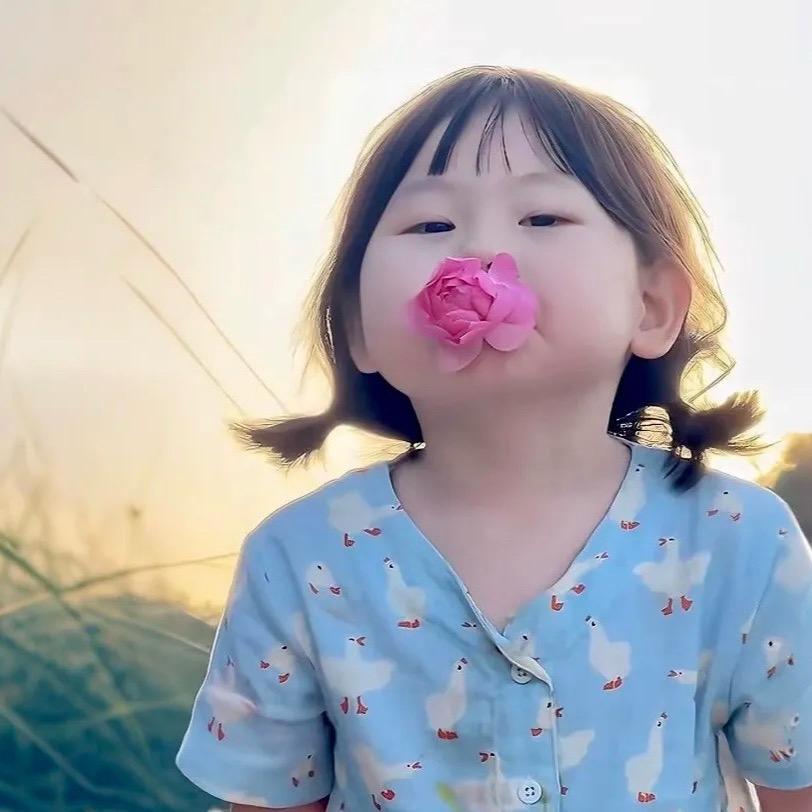 🎀 🎀🎀