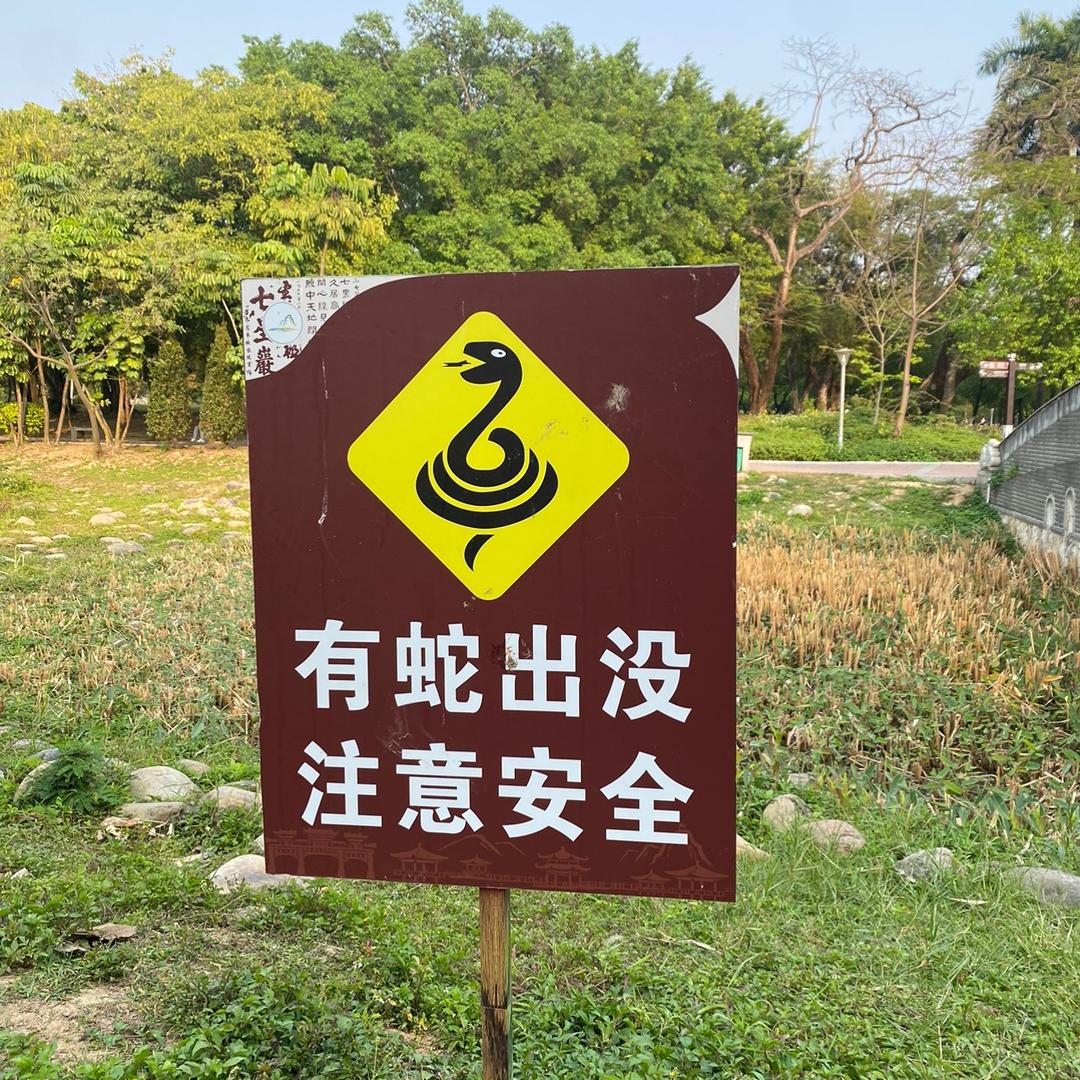 ☑️顺时针💫