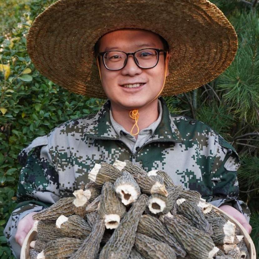 源哥基地高品质羊肚菌