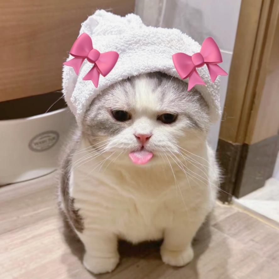 一粒鱼蛋