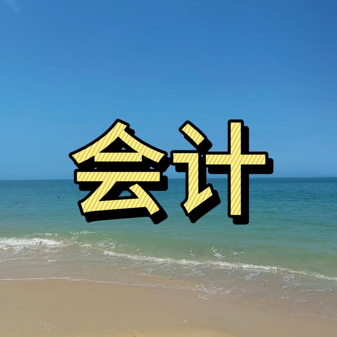 春财给你当会计
