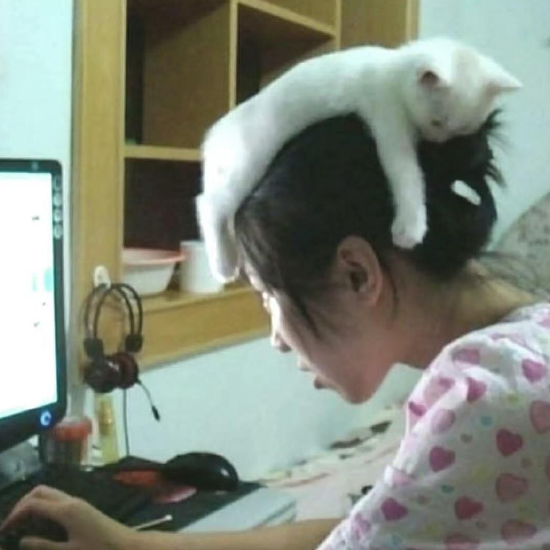 忧郁三字女