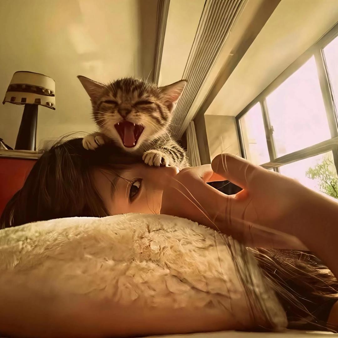 ㅤㅤㅤㅤㅤㅤㅤㅤㅤ‍‍‍‍ㅤㅤㅤㅤㅤㅤㅤ