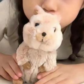 聪明的小阳