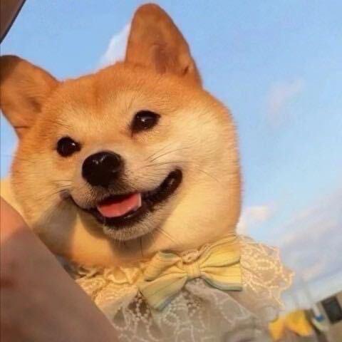 橙子🍊丨