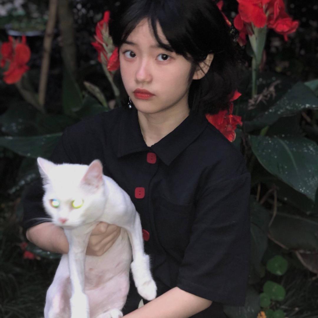 照小菲