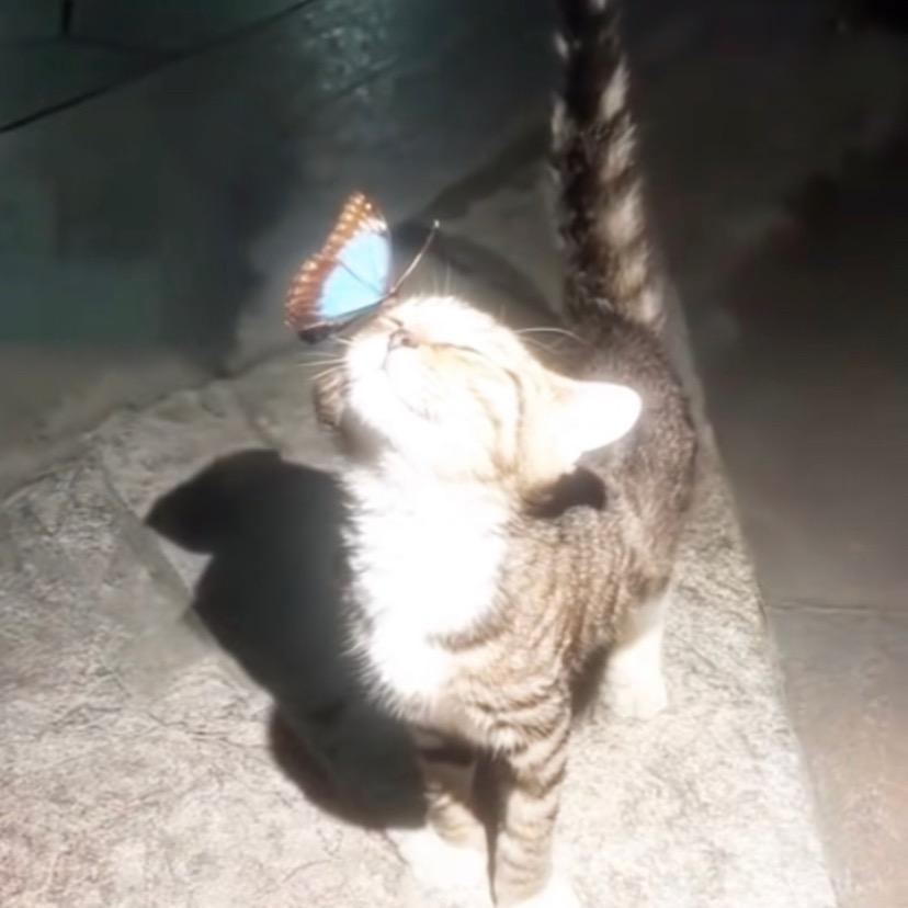 来来