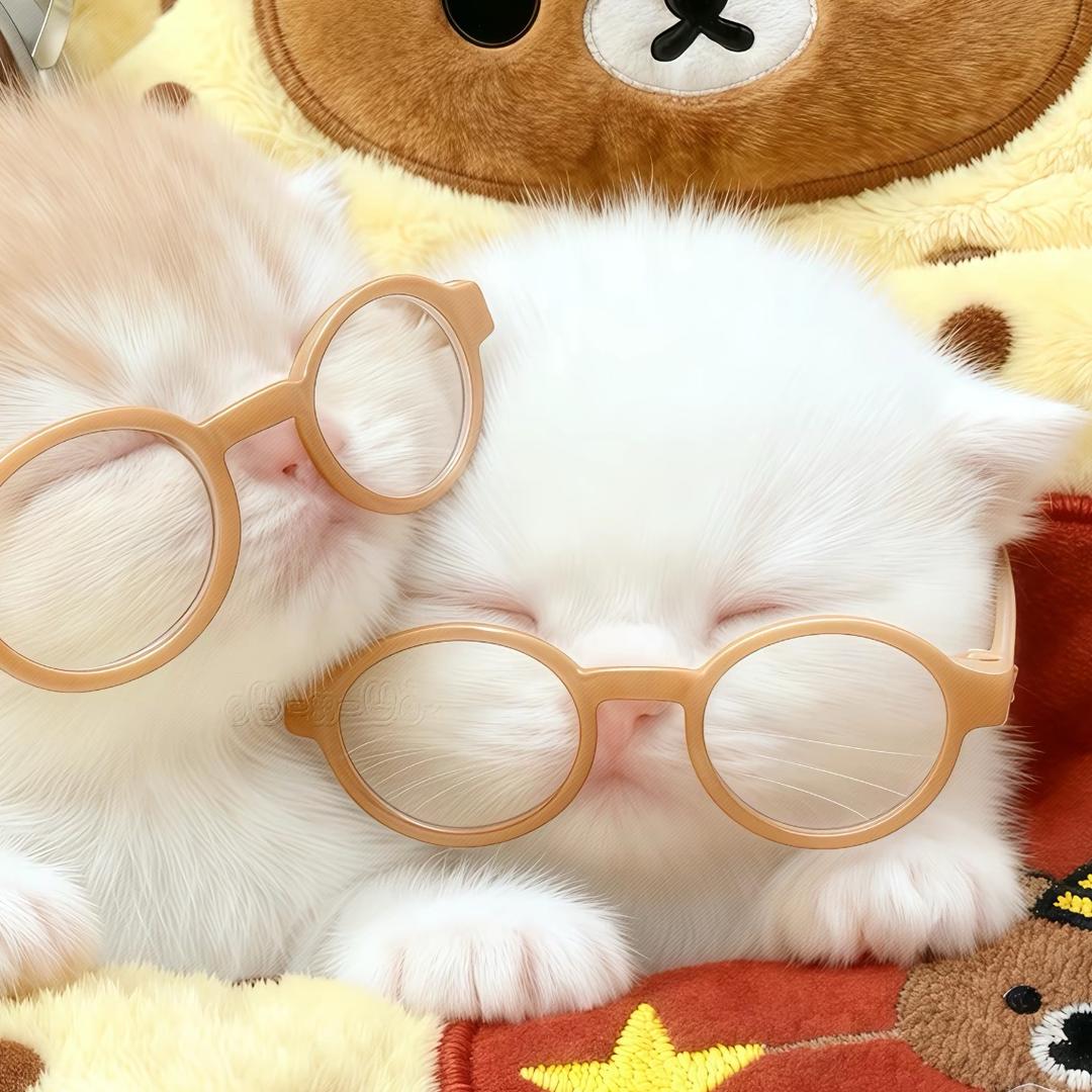 我男朋友很爱我