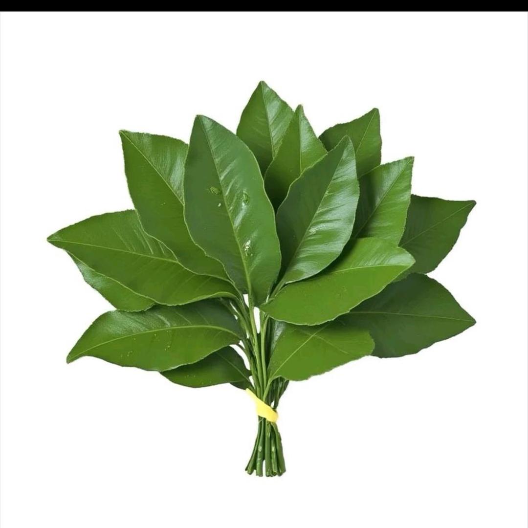 8月17真是我生日