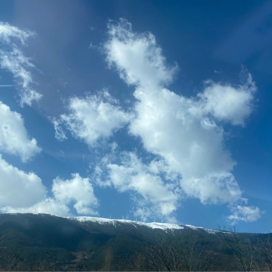 刘星
