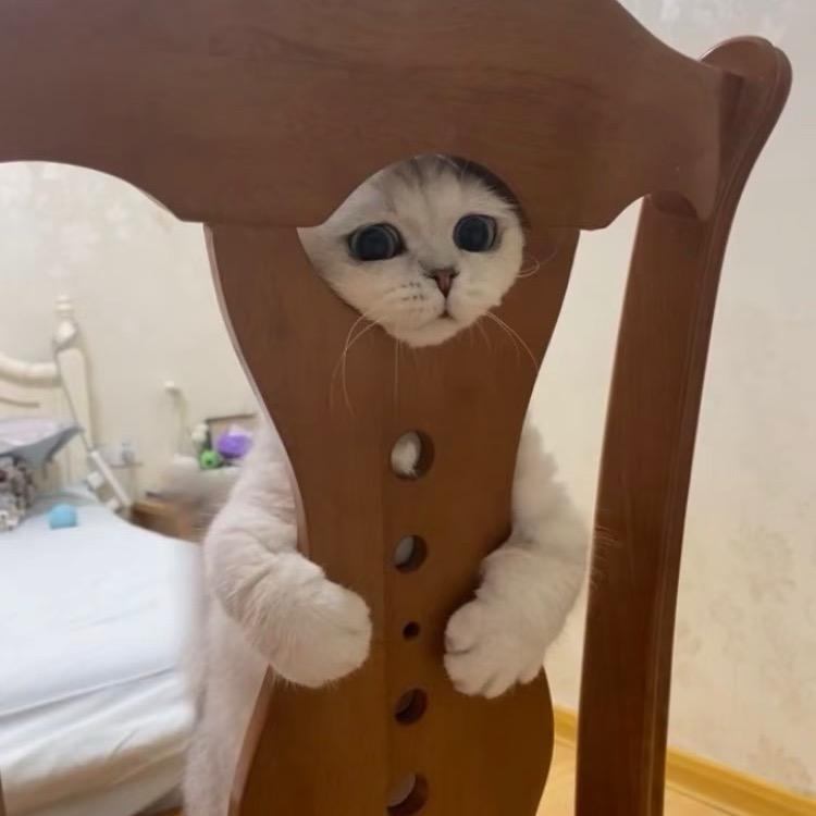 长枪