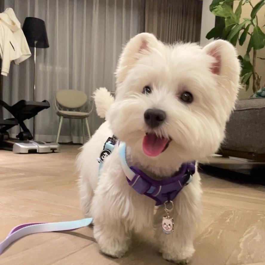 发财小姐