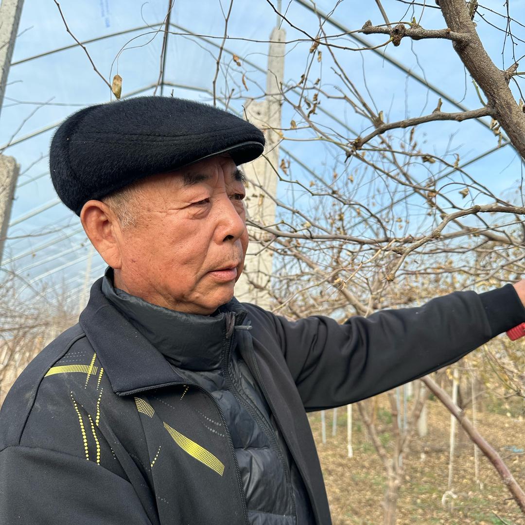 枣叔老郭
