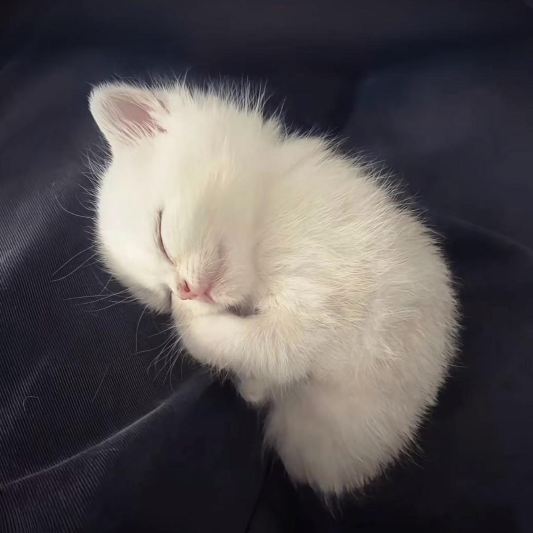 @ㅤㅤㅤㅤﾠﾠﾠﾠㅤ