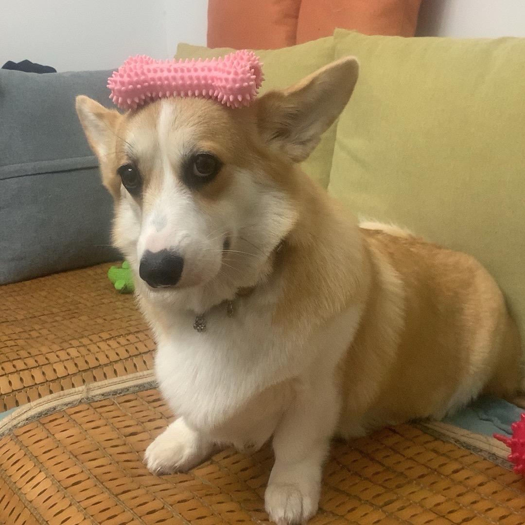 Ｐａｎｇ嘟嘟头像