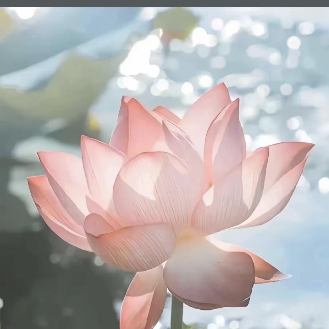 秦二哥拖把工厂