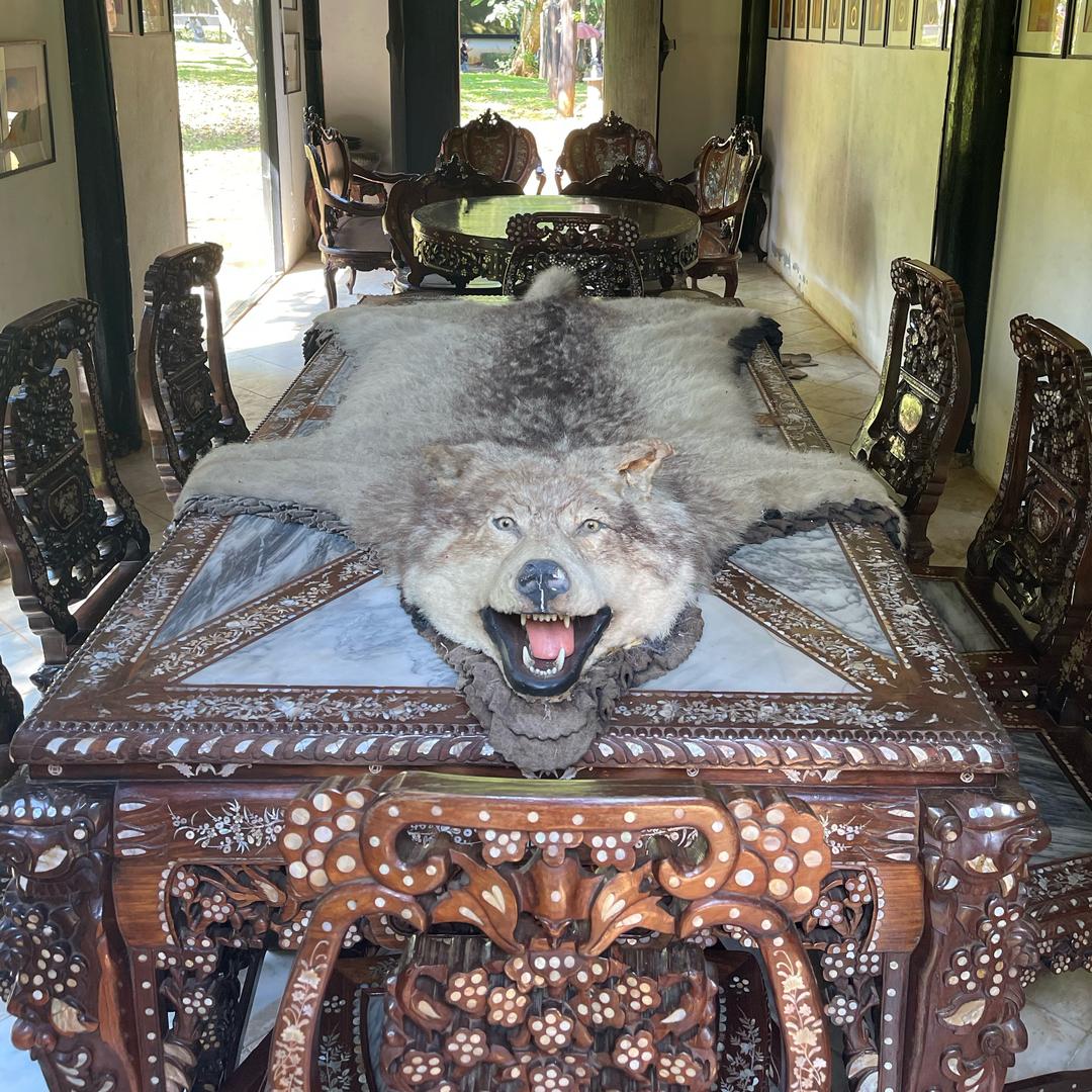 大哥的小小跟班