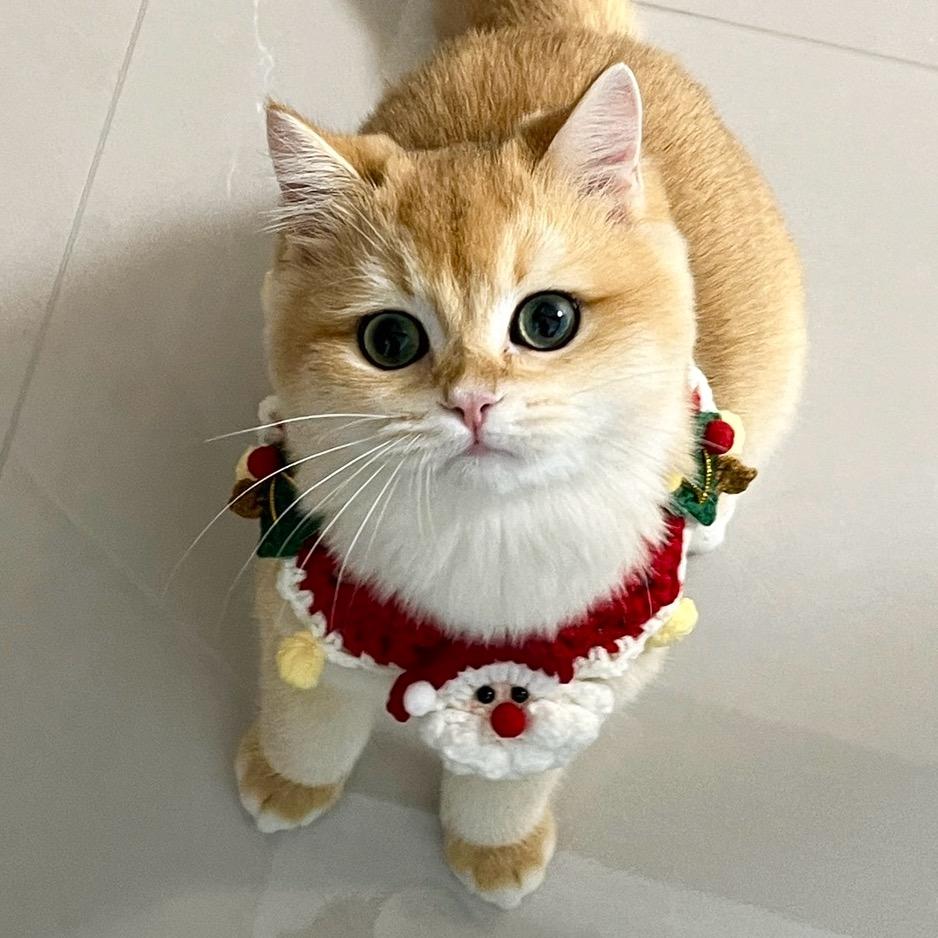 也许天气晴☀️