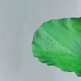 欧耶