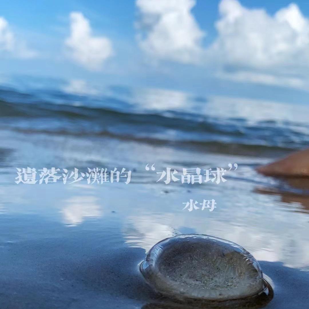 北港海伐阿忠