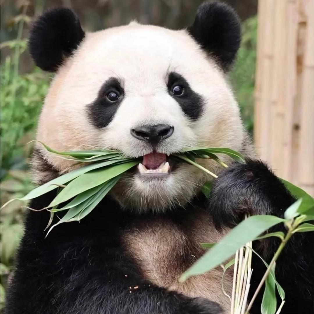 游玩导览（梁梁）