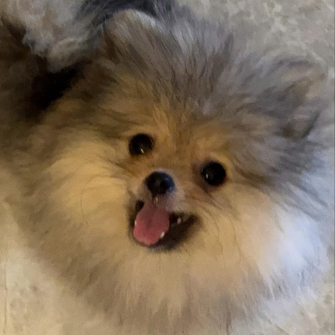 娜娜（国一露娜）