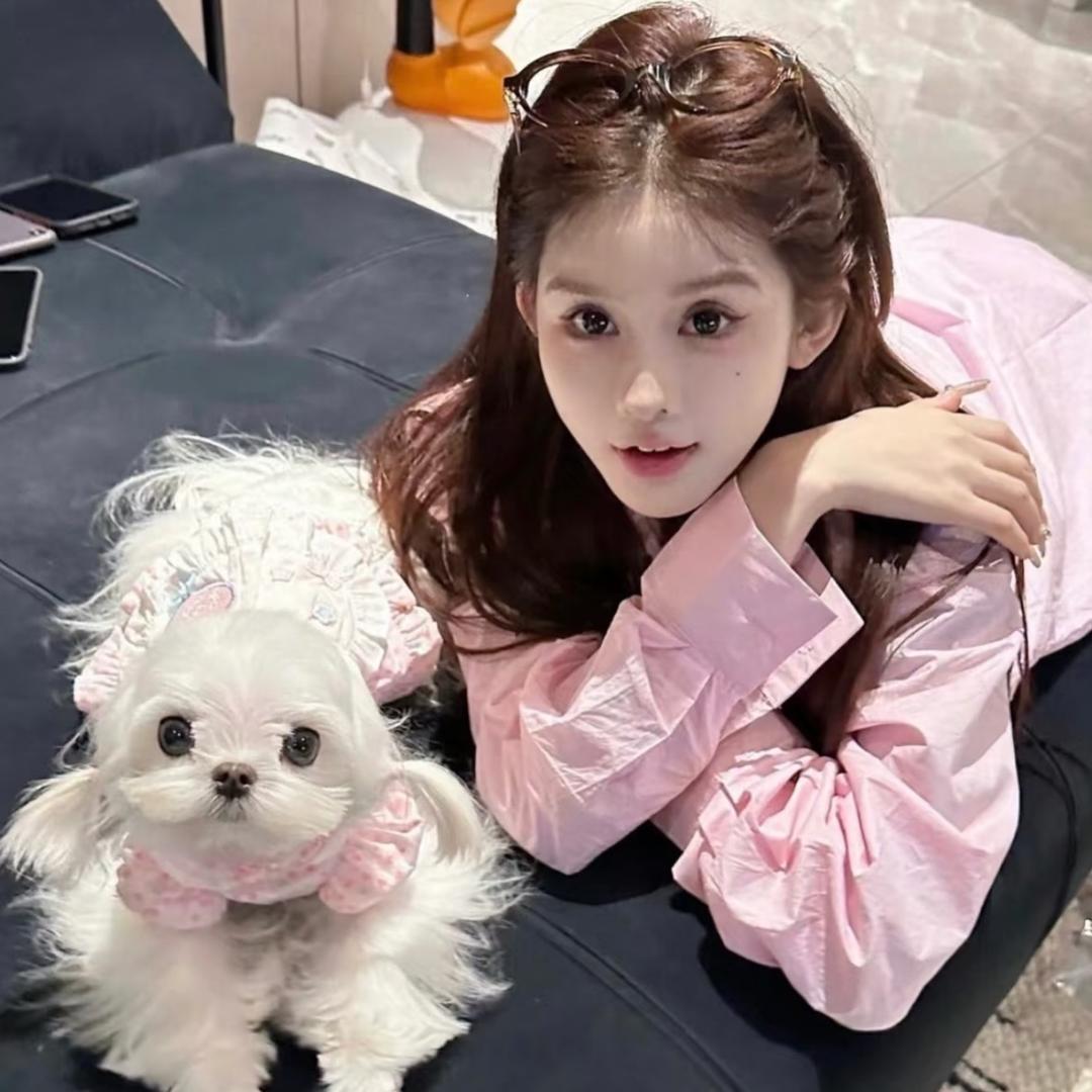 傲娇美的小美