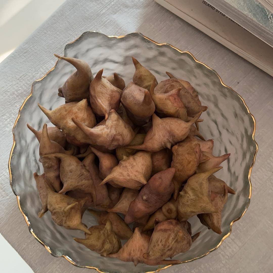 悠哈