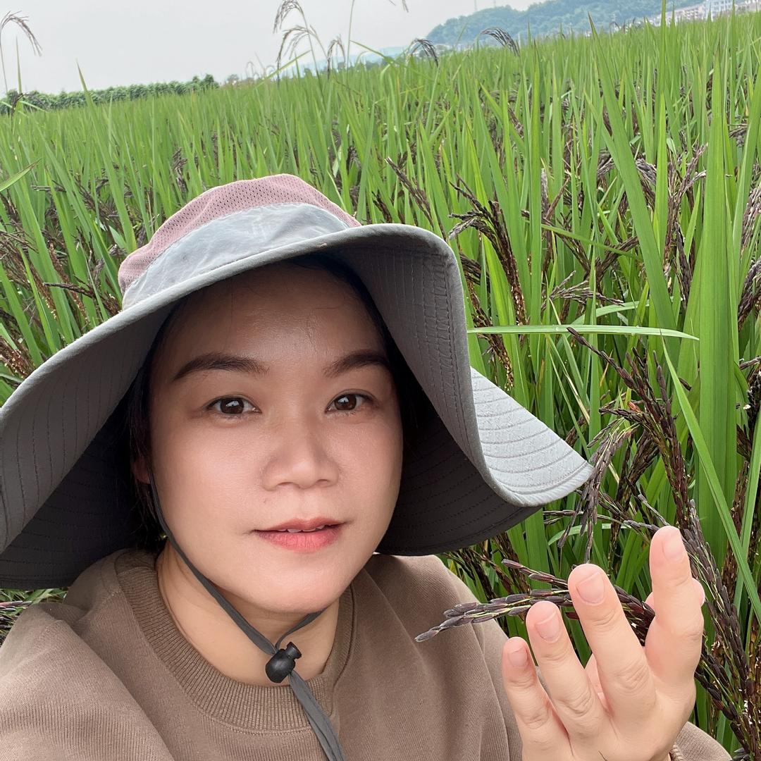 小米好物分享