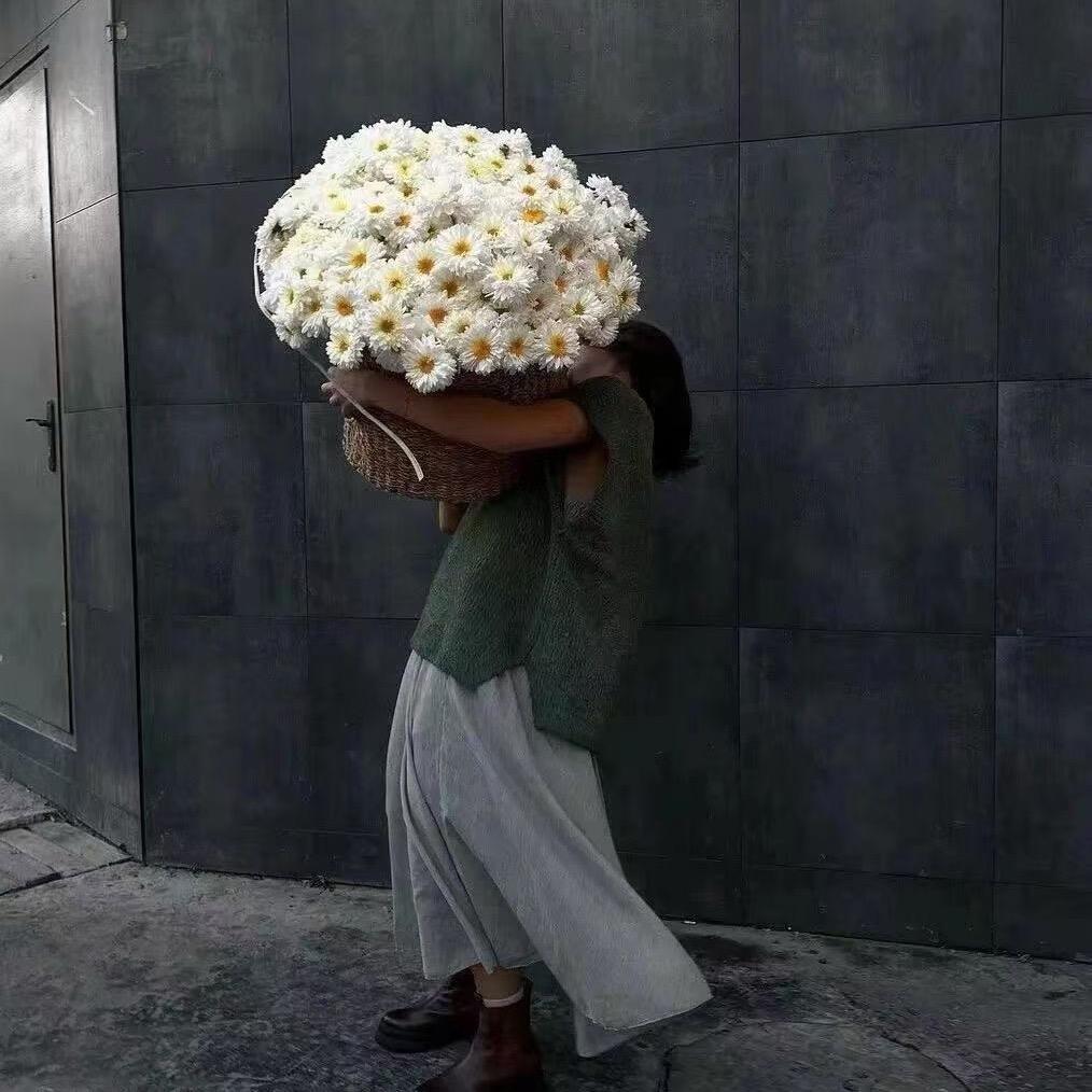系欧