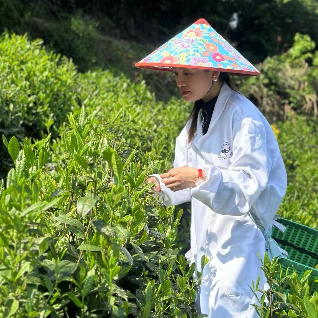 徽州茗源