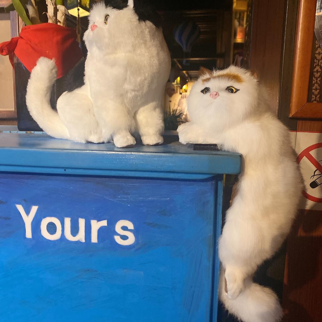 暴暴