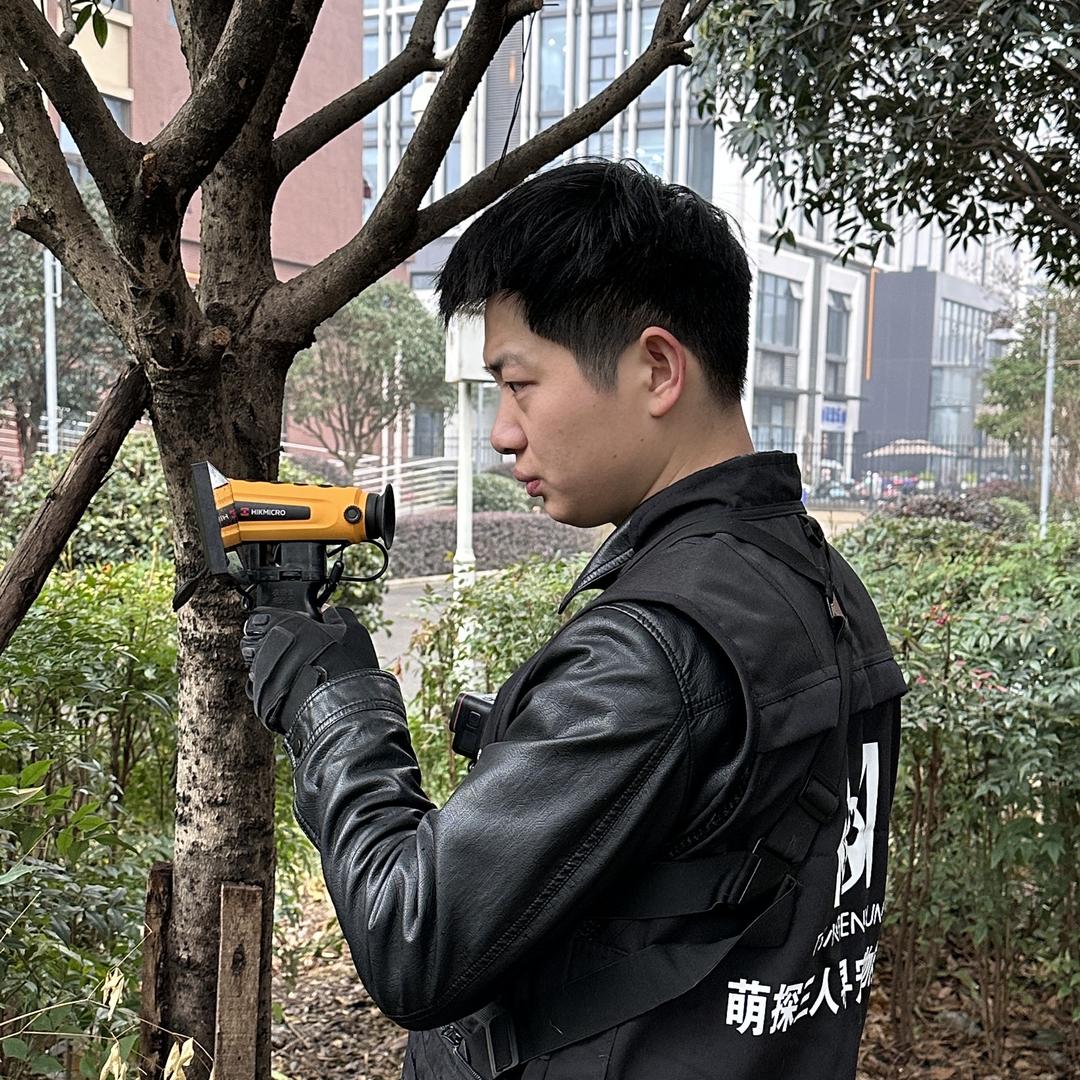 萌探团队