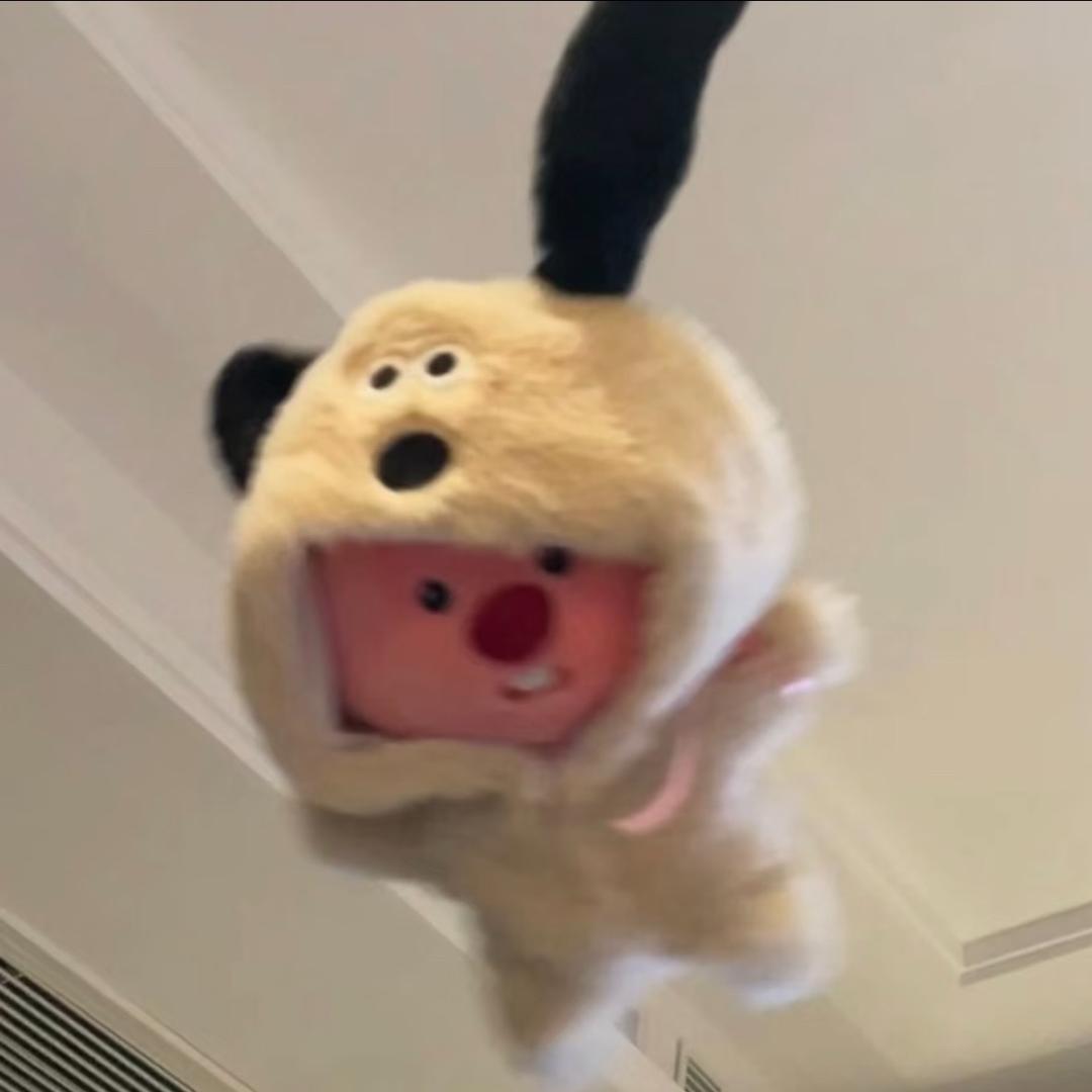 相机记录ʸᵒᵘ．