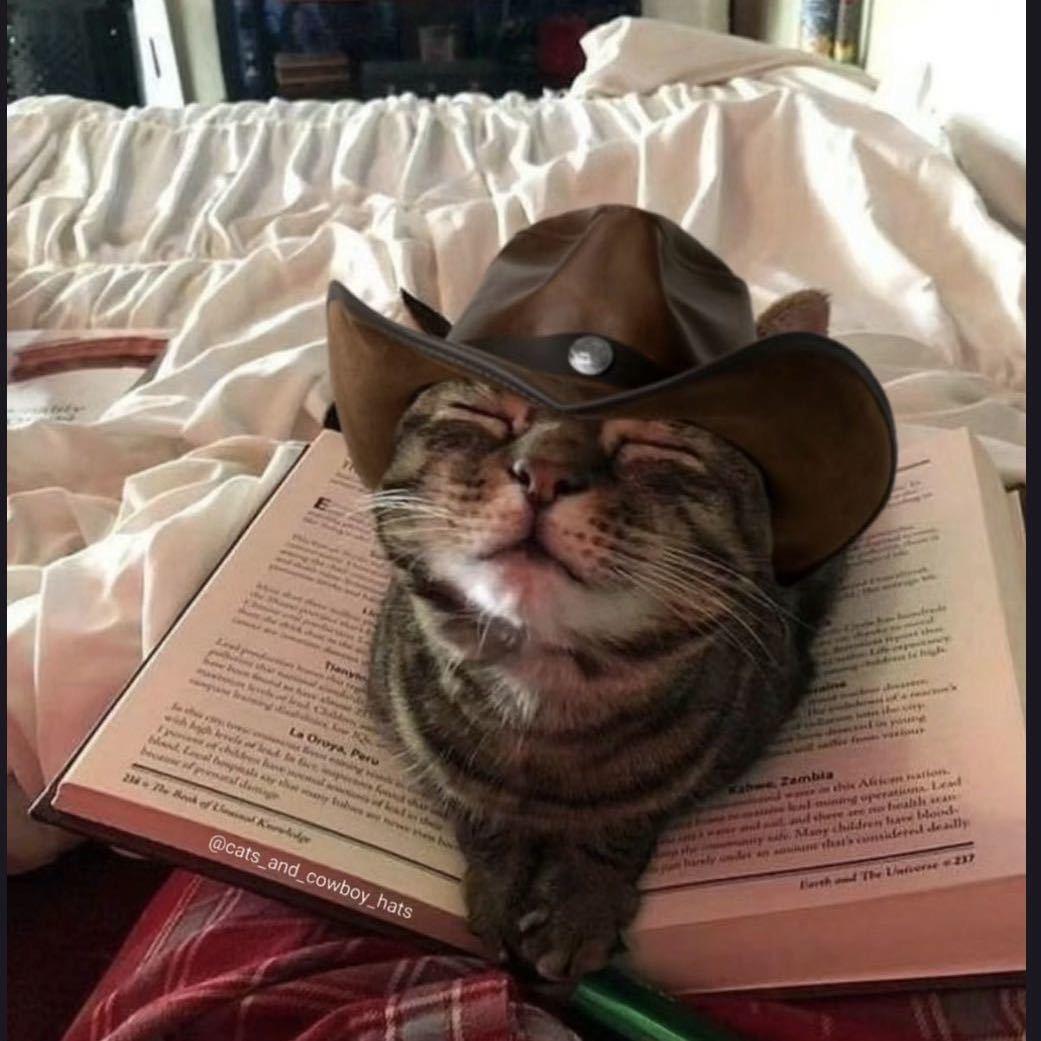 乖乖手作的头像