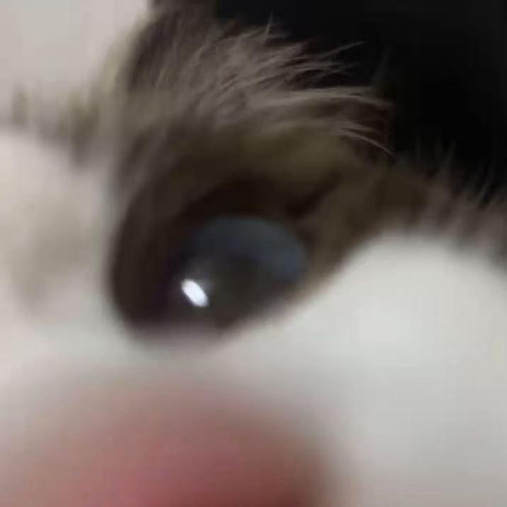 -︅