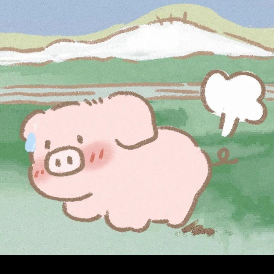 🌟旺旺崽崽贝🌟