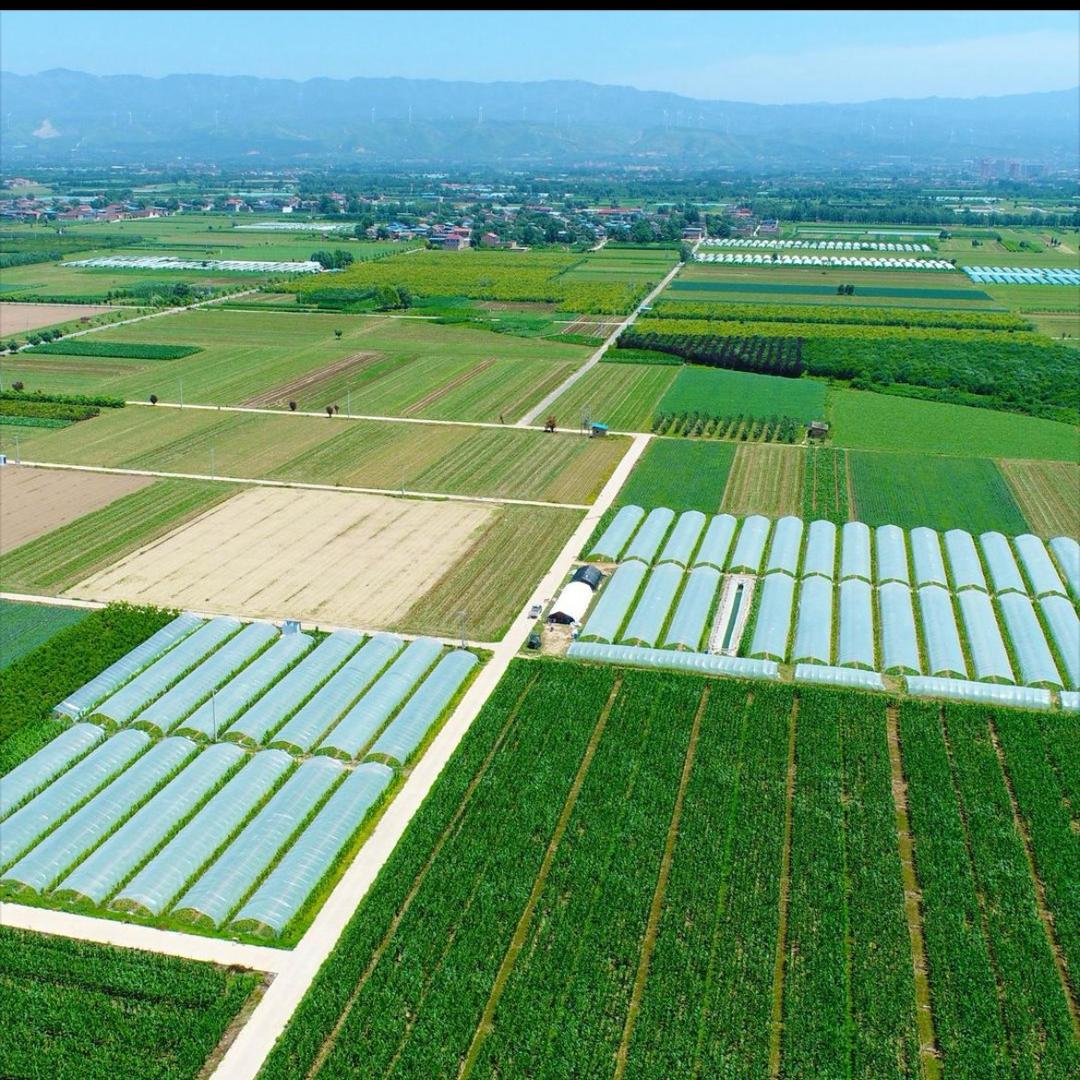 查一查地块收图