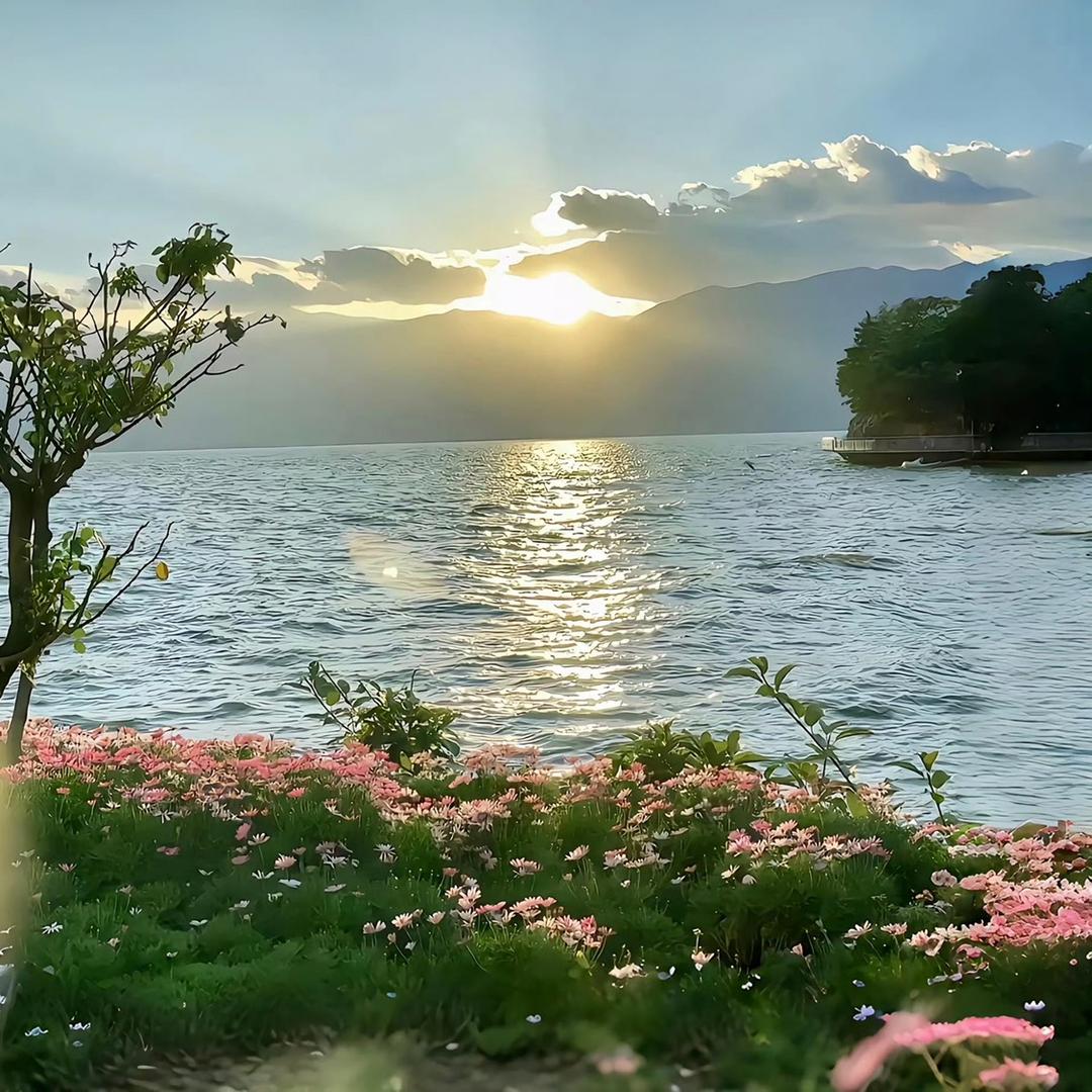 🎐欣欣向李🎐