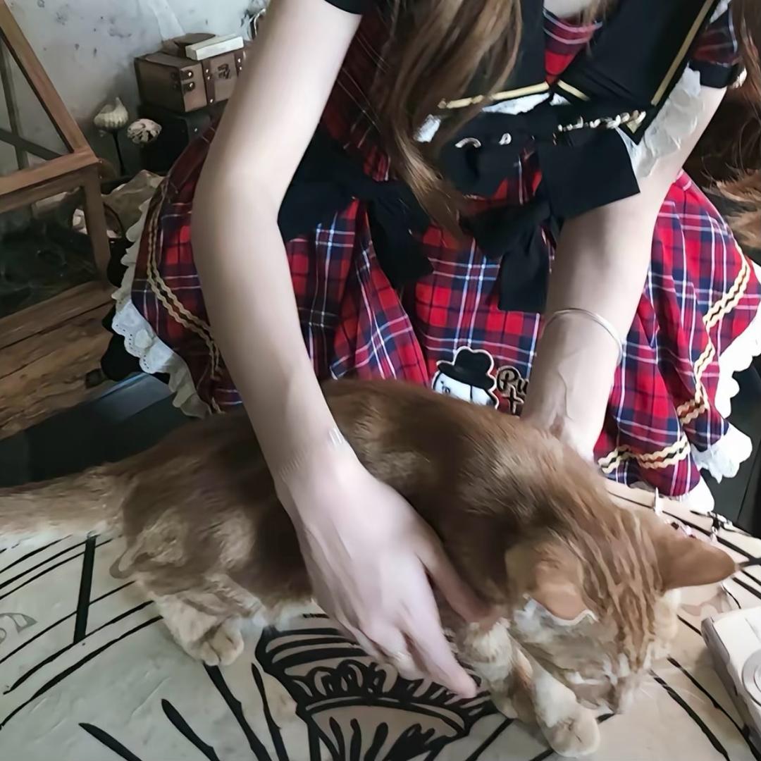 小林呀