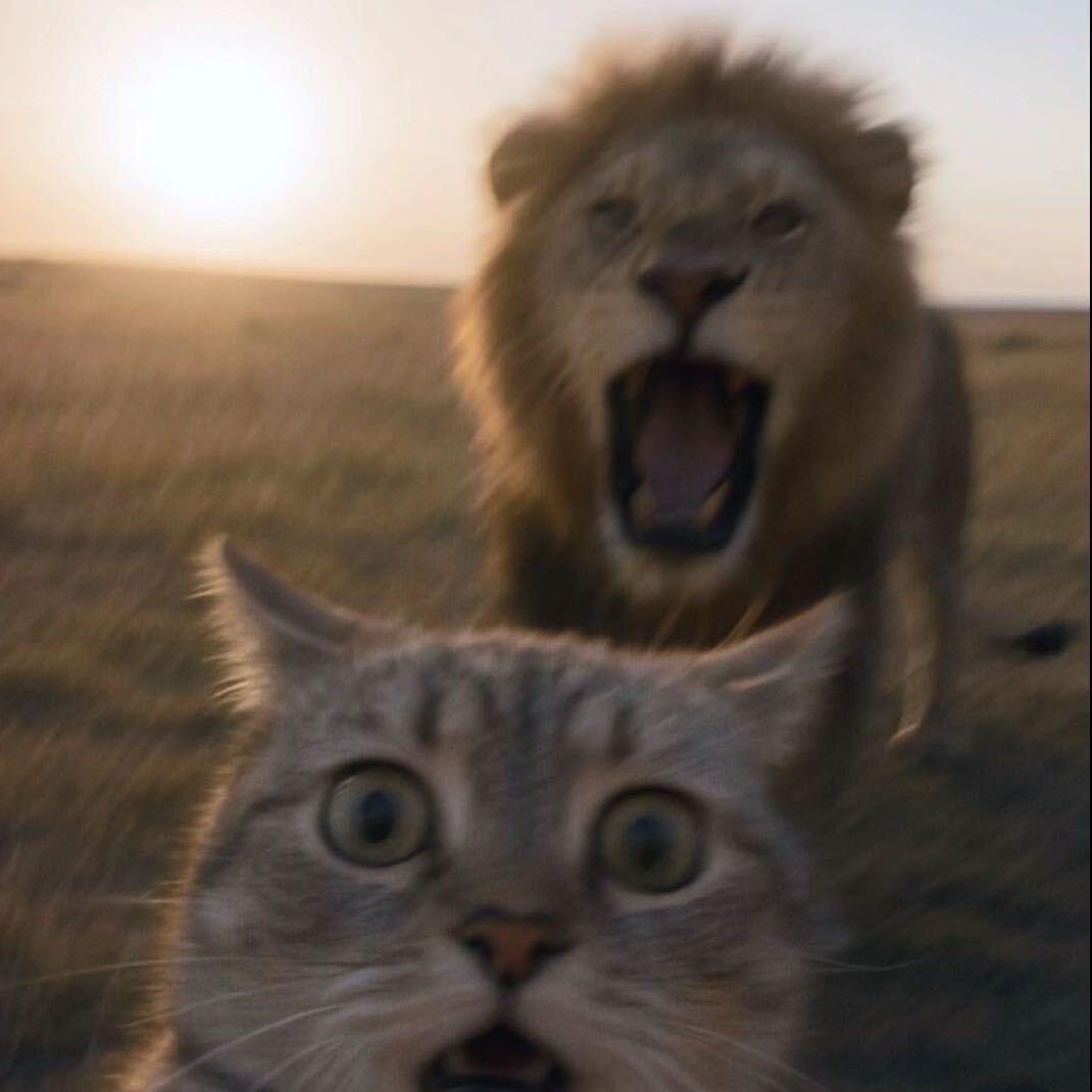 D:
