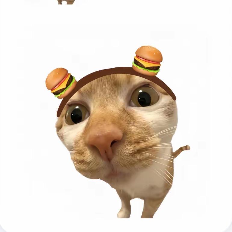 特能睡请叫我睡美人💤