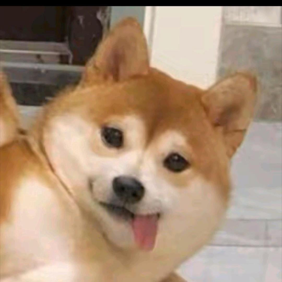 风吹往事如梦