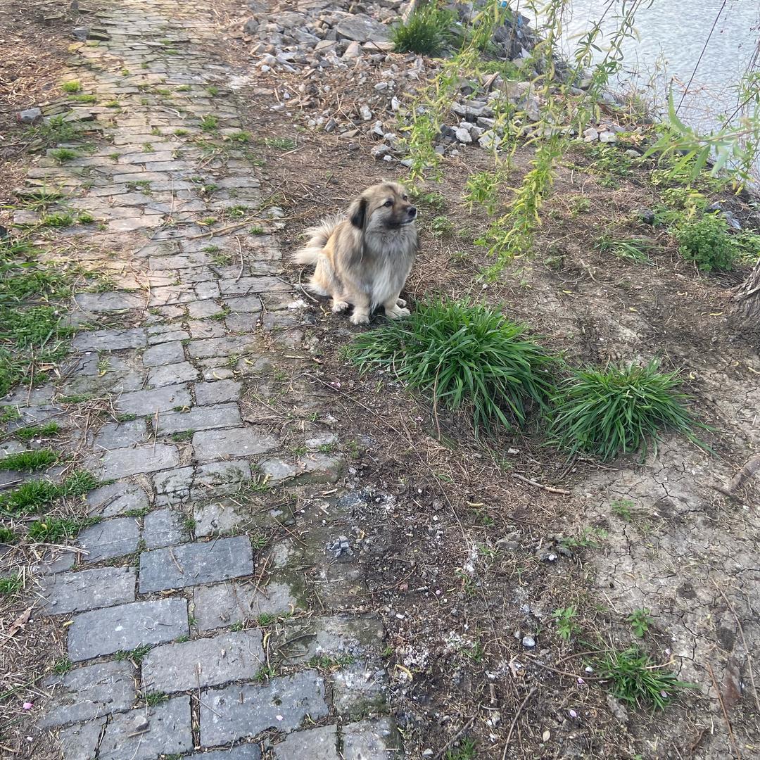 次客