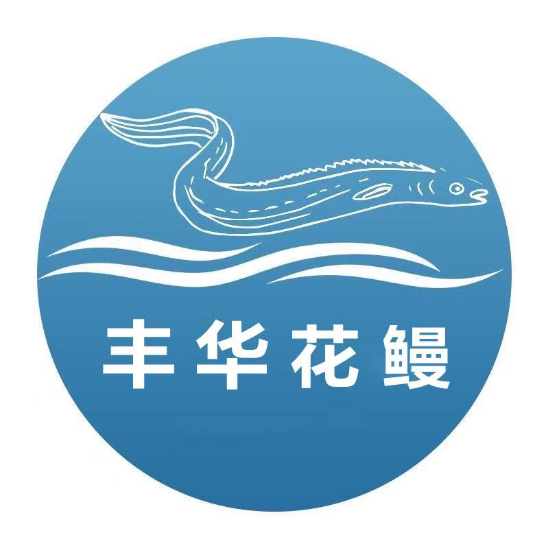 丰华花鳗（每天直播）