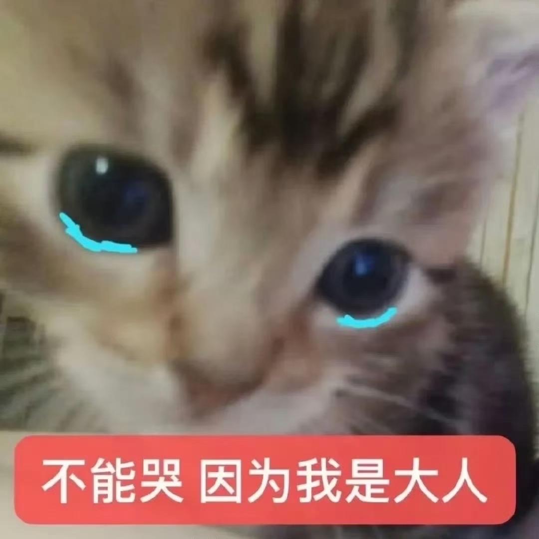 净我