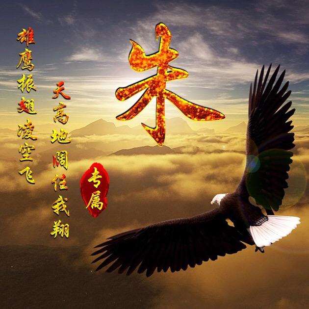 龙哥软装指南