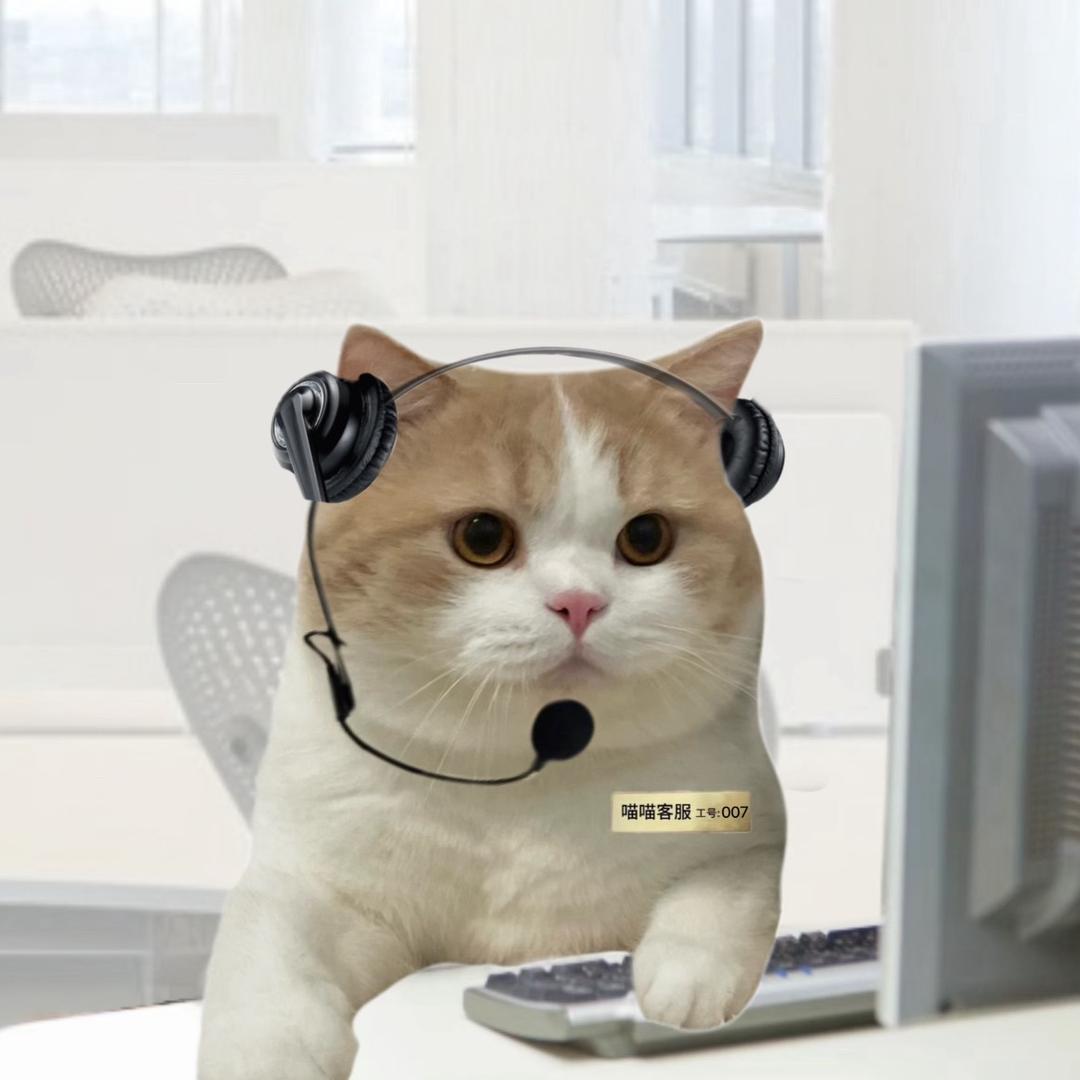 个人收留 （已收留百来只流浪孩子）